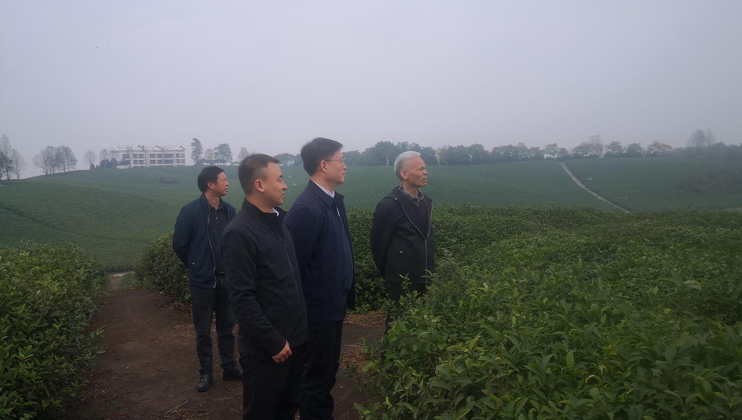 中国·金沙检测线路js95(股份)有限公司-Official website
